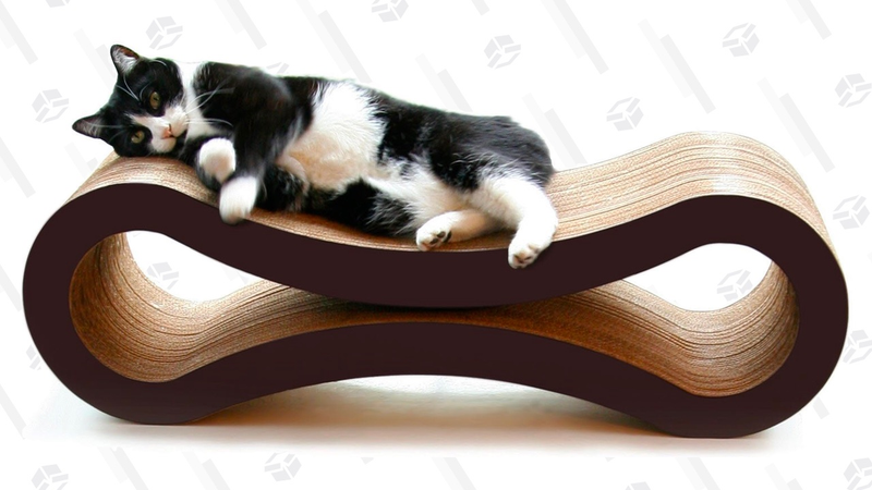 Rascador PetFusion para gatos | $38 | AmazonGráfico: Shep McAllister